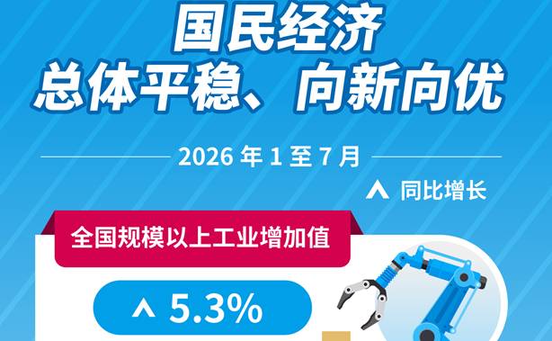 前7个月国民经济总体平稳、向新向优