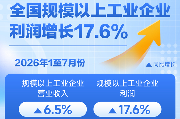 2026年前7个月全国规模以上工业企业利润增长17.6%